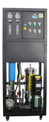 Grote industriële omgekeerde osmose zuivere waterapparatuur 0,25 - 0,5 ton Landbouw Auto Was Commerciële waterreiniger Manu