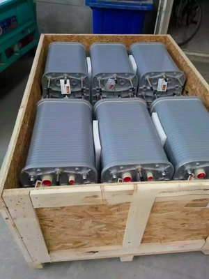 Hoogtemperatuurreeks 0,7-1,2 m3/h EDI-staven LX-HD-100 voor de farmaceutische industrie
