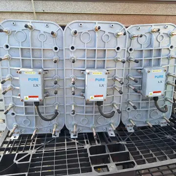 Ionpure CEDI LX-Z IP-LXM30Z-5 voor de productie van zuiver water