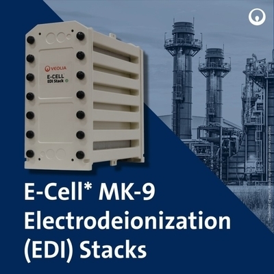 Veolia MK-9 EDI Stack 35 GPM Ultrazuiver Water voor Zonne-energie